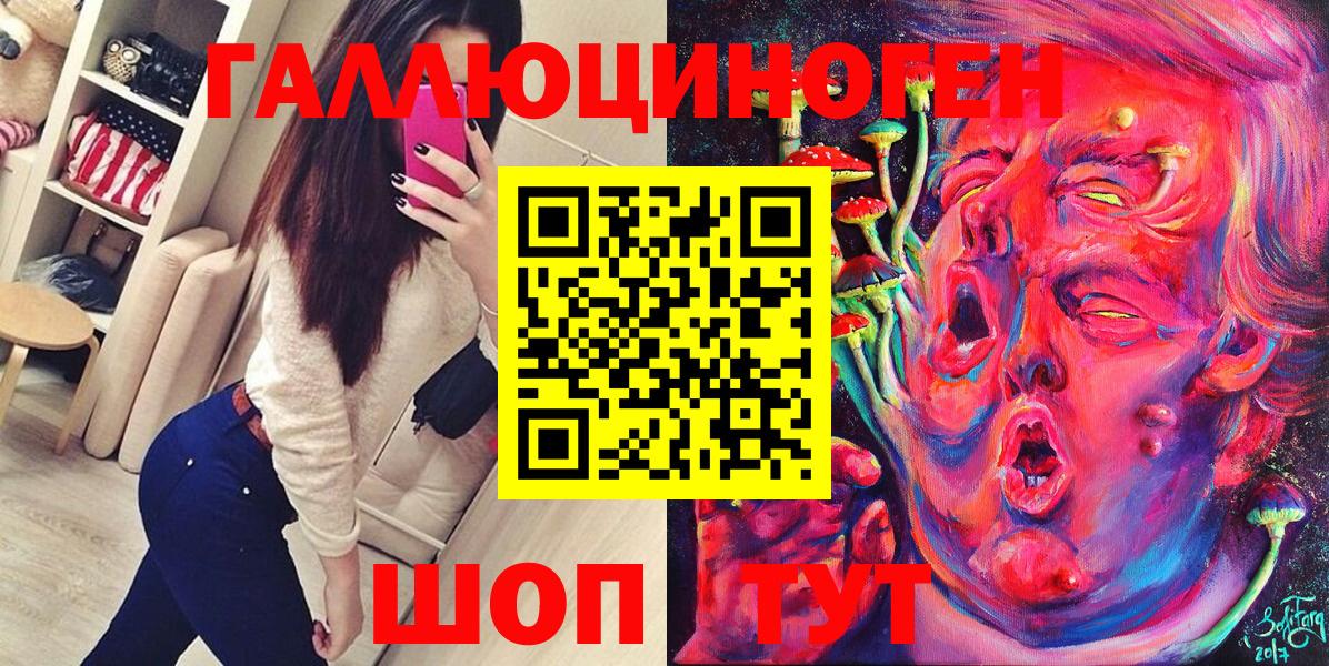 Галлюциногенные грибы Psilocybe Сегежа