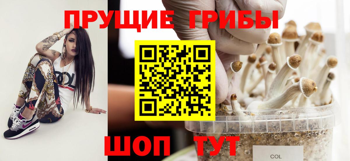 Сегежа  Галлюциногенные грибы ЛСД  Вход с VPN 